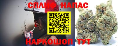 индика Кулебаки