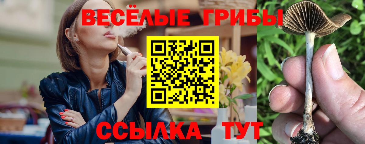 Еманжелинск  Псилоцибиновые грибы Psilocybine cubensis  Вход с VPN  Галлюциногенные грибы ЛСД 